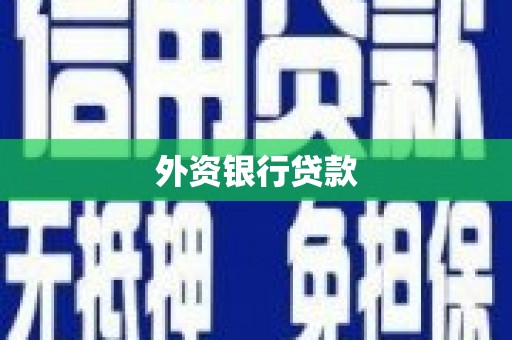 岳西外资银行贷款