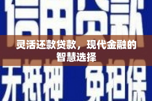 岳西灵活还款贷款，现代金融的智慧选择