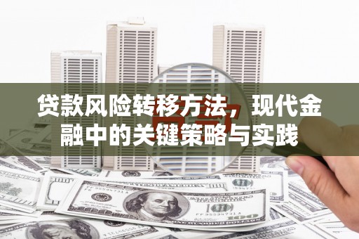 岳西贷款风险转移方法，现代金融中的关键策略与实践