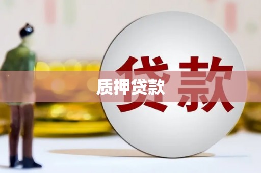 岳西质押贷款