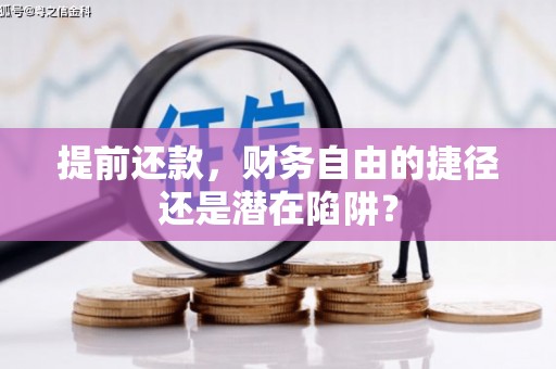 岳西提前还款，财务自由的捷径还是潜在陷阱？