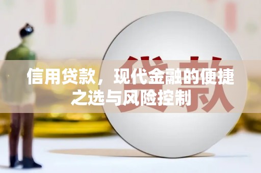 岳西信用贷款，现代金融的便捷之选与风险控制