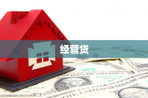 岳西经营贷