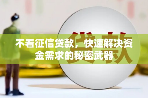 岳西不看征信贷款，快速解决资金需求的秘密武器
