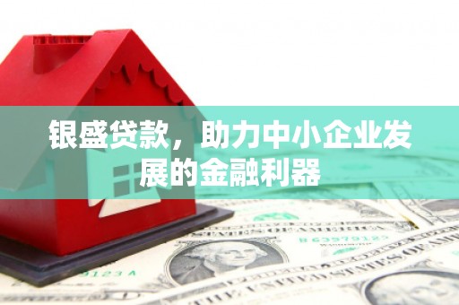 岳西银盛贷款，助力中小企业发展的金融利器