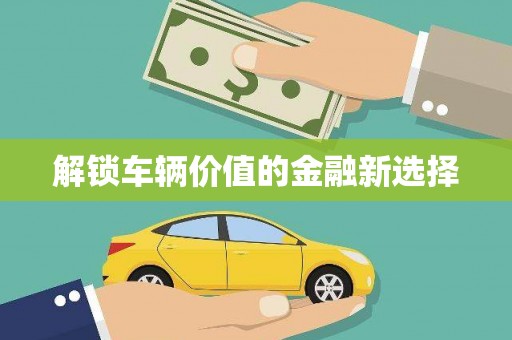 岳西解锁车辆价值的金融新选择