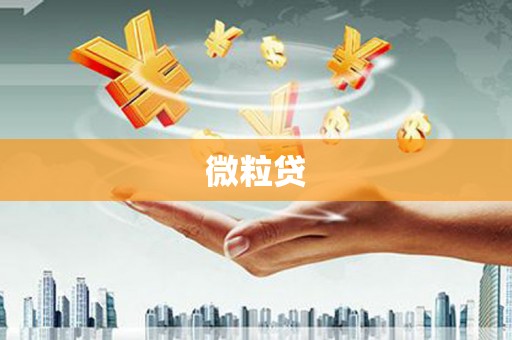 岳西微粒贷