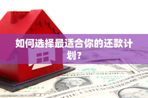 岳西如何选择最适合你的还款计划？