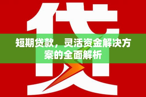 岳西短期贷款，灵活资金解决方案的全面解析