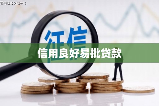 岳西信用良好易批贷款