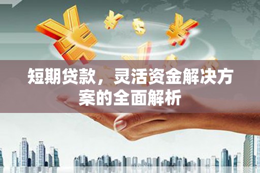 岳西短期贷款，灵活资金解决方案的全面解析