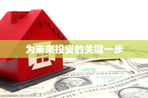 岳西为未来投资的关键一步