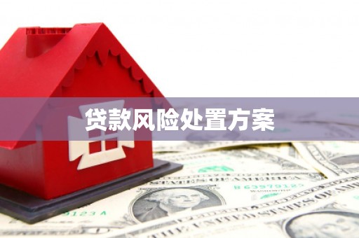 岳西贷款风险处置方案