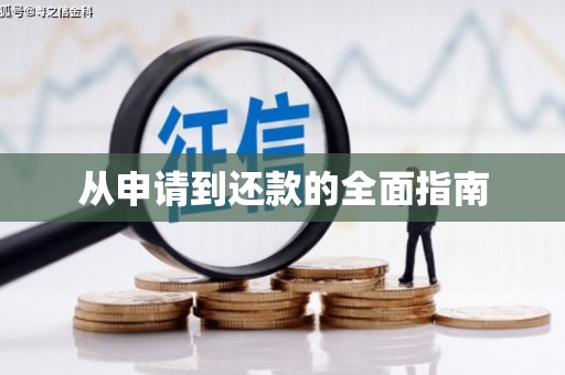 岳西从申请到还款的全面指南