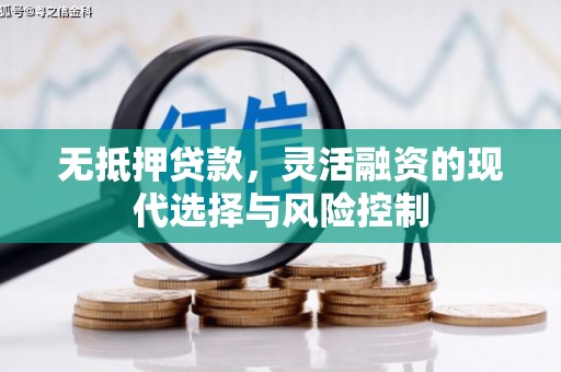 岳西无抵押贷款，灵活融资的现代选择与风险控制