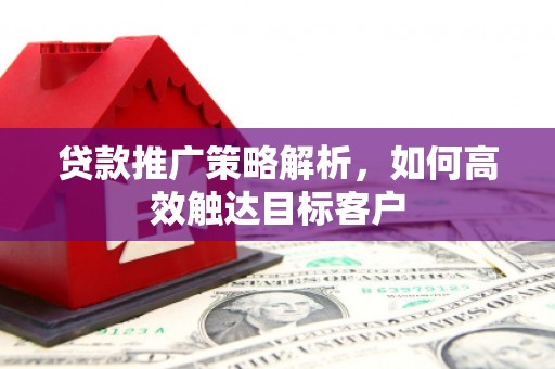 岳西贷款推广策略解析，如何高效触达目标客户