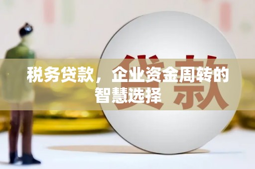 岳西税务贷款，企业资金周转的智慧选择