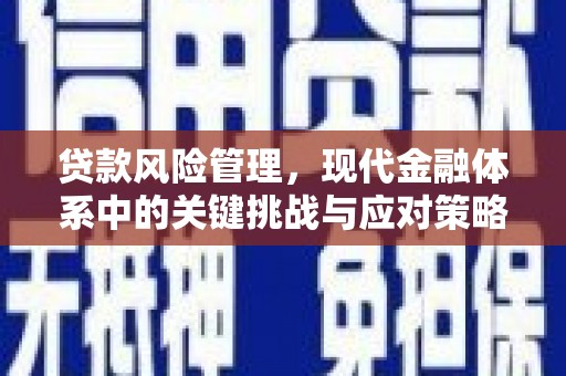 岳西贷款风险管理，现代金融体系中的关键挑战与应对策略