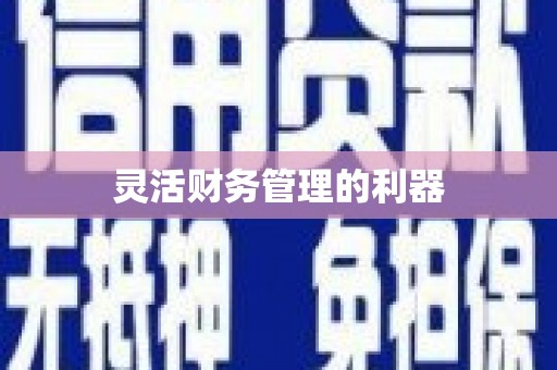 岳西灵活财务管理的利器