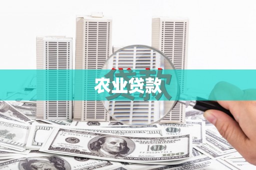 岳西农业贷款
