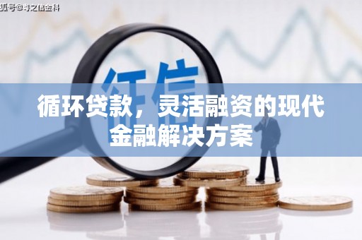 岳西循环贷款，灵活融资的现代金融解决方案