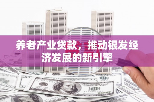 岳西养老产业贷款，推动银发经济发展的新引擎