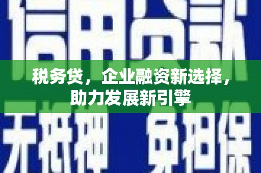 岳西税务贷，企业融资新选择，助力发展新引擎
