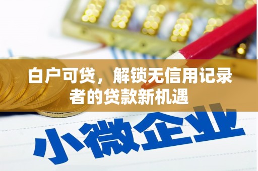 岳西白户可贷，解锁无信用记录者的贷款新机遇