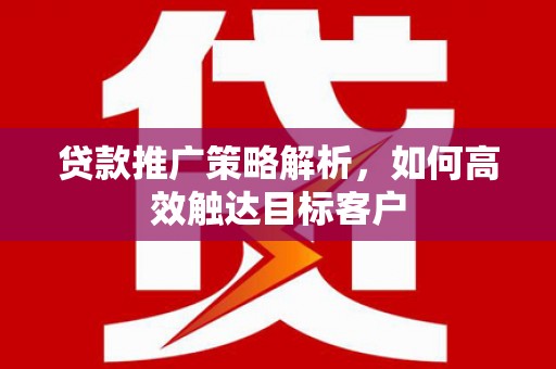 岳西贷款推广策略解析，如何高效触达目标客户