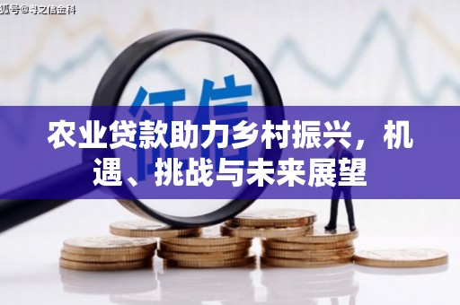 岳西农业贷款助力乡村振兴，机遇、挑战与未来展望