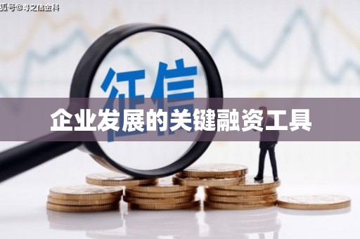 岳西企业发展的关键融资工具