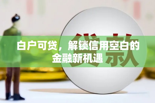 岳西白户可贷，解锁信用空白的金融新机遇