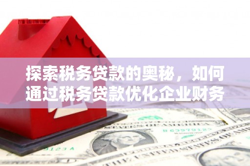 岳西探索税务贷款的奥秘，如何通过税务贷款优化企业财务
