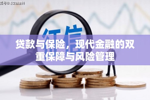 岳西贷款与保险，现代金融的双重保障与风险管理