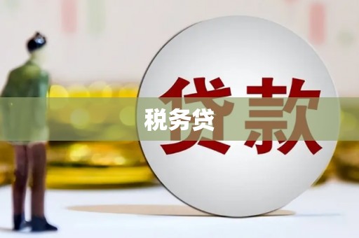 岳西税务贷