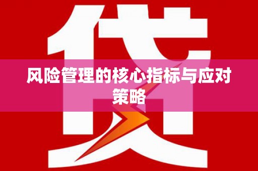 岳西风险管理的核心指标与应对策略