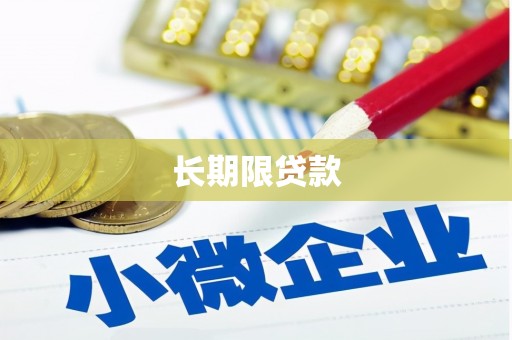 岳西长期限贷款