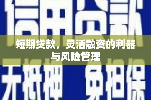 岳西短期贷款，灵活融资的利器与风险管理