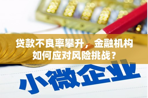 岳西贷款不良率攀升，金融机构如何应对风险挑战？