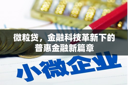 岳西微粒贷，金融科技革新下的普惠金融新篇章
