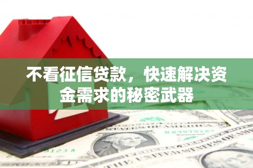 岳西不看征信贷款，快速解决资金需求的秘密武器