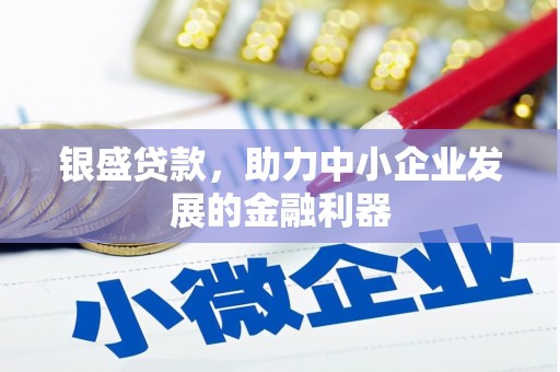 岳西银盛贷款，助力中小企业发展的金融利器