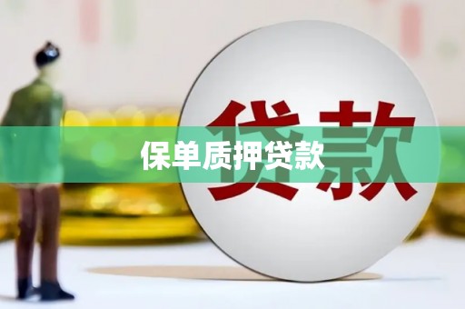 岳西保单质押贷款