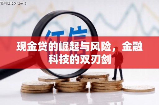 岳西现金贷的崛起与风险，金融科技的双刃剑