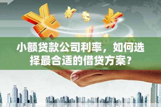 岳西小额贷款公司利率，如何选择最合适的借贷方案？