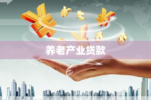岳西养老产业贷款