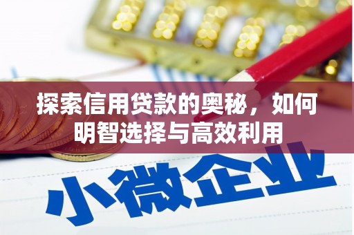 岳西探索信用贷款的奥秘，如何明智选择与高效利用