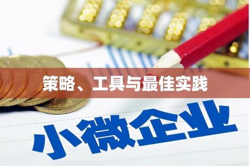 岳西策略、工具与最佳实践