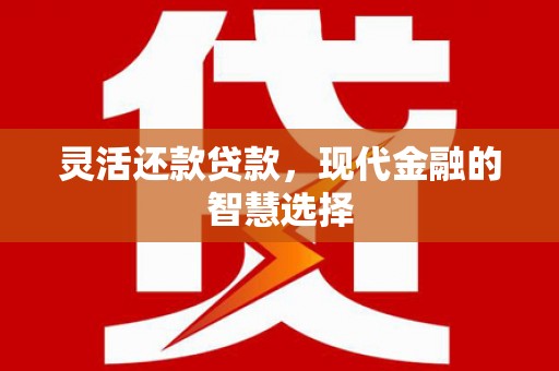 岳西灵活还款贷款，现代金融的智慧选择