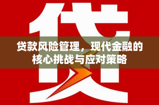 岳西贷款风险管理，现代金融的核心挑战与应对策略